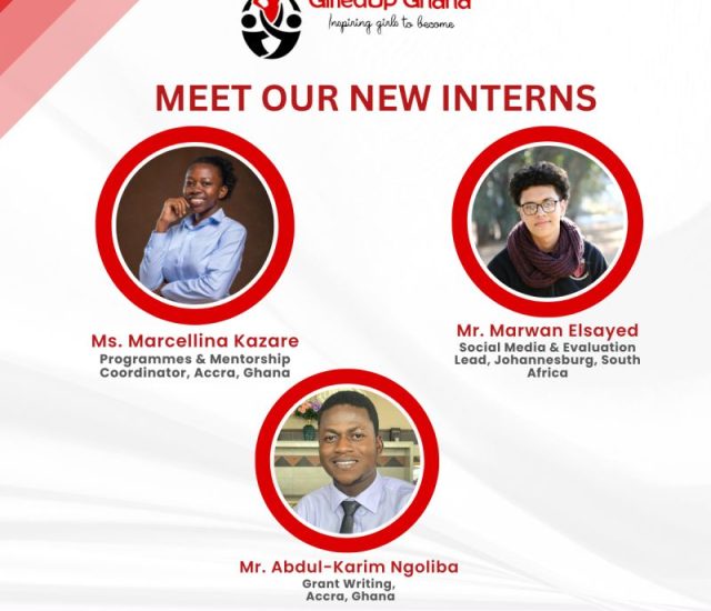 Meet Our New Interns